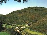 Blick auf Binzenbach im Sahrbachtal